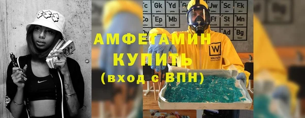 сатива Балахна
