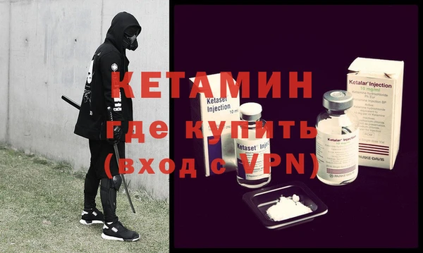 сатива Балахна